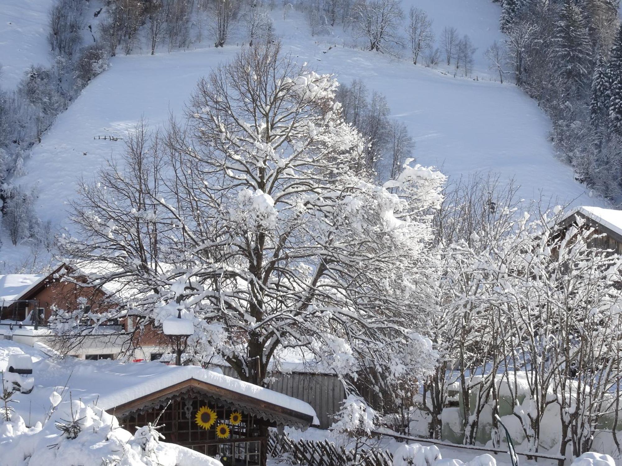 Apartment Gaestehaus Luggau Rauris Dış mekan fotoğraf